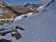 49 Belle comunque  le nostre tracce nella neve !